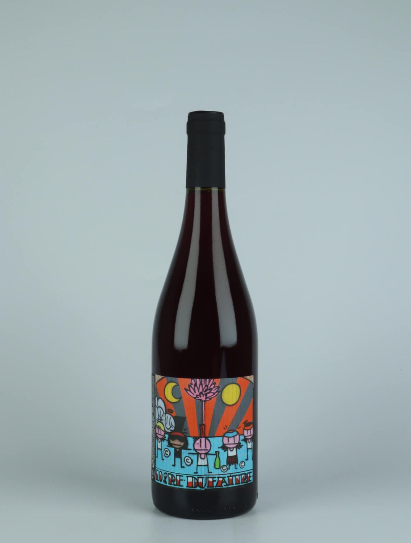 Beaujolais-Villages Nouveau 2025 (CASE) 6 Bottles
