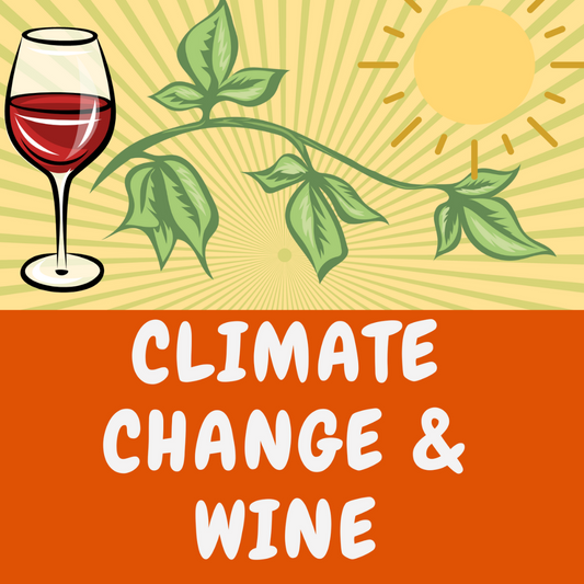 Climate Change - Impact on wine 10th June